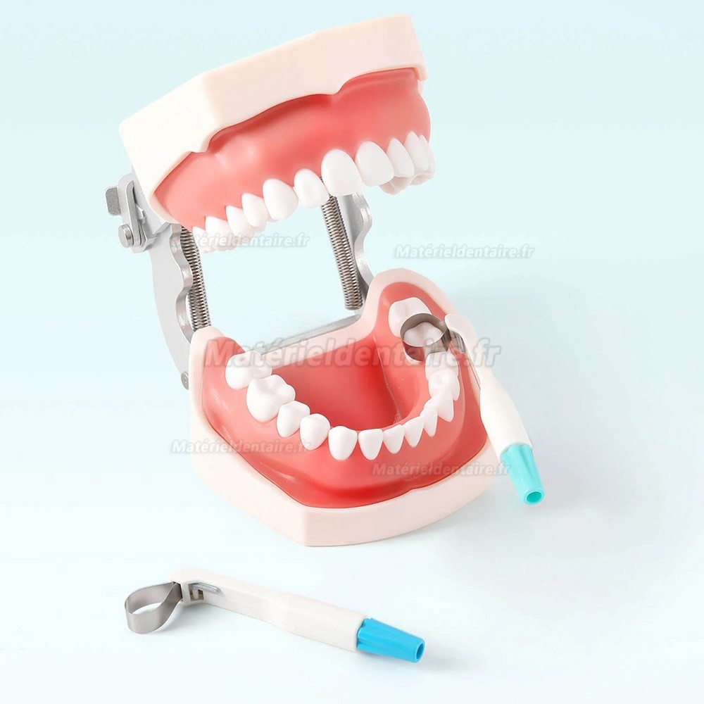 10 matrices de contourage dentaires transparentes, outil de contourage proximal ajustable 6 mm/4,5 mm